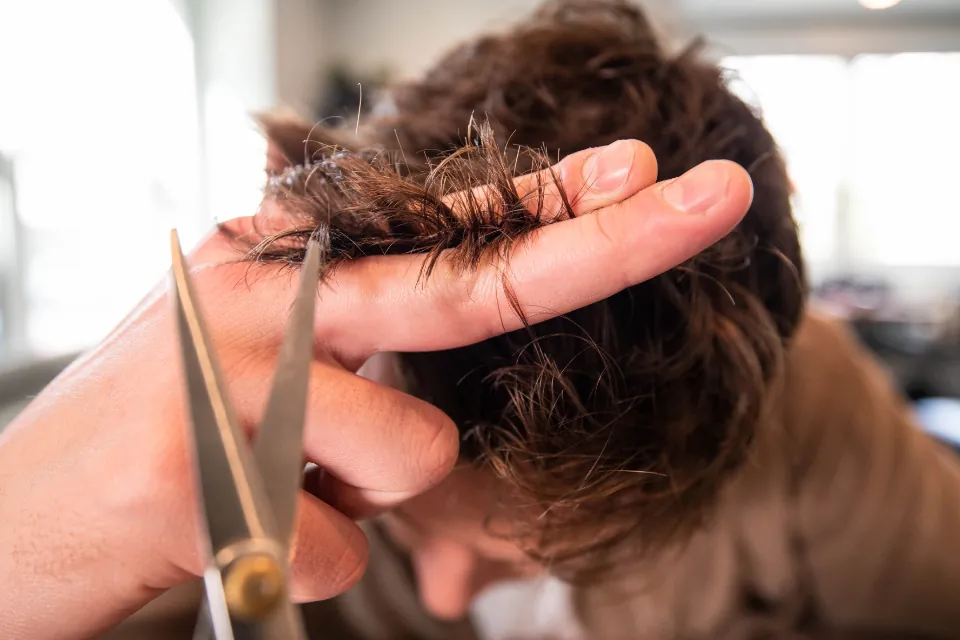 Hairdresser cutting a client's hair with scissors