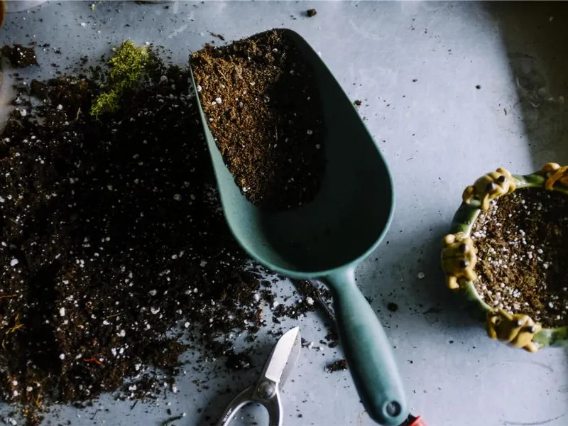 Trowel in a pot of fresh soil