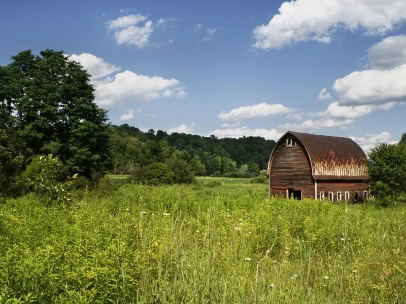 Red barn in a green meadow under a blue sky